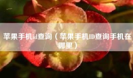 苹果手机id查询（苹果手机ID查询手机在哪里）