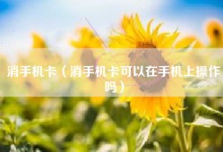 消手机卡（消手机卡可以在手机上操作吗）