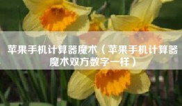 苹果手机计算器魔术（苹果手机计算器魔术双方数字一样）