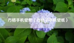 方格手机壁纸（方格子手机壁纸）