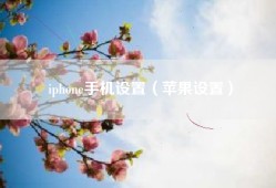 iphone手机设置（苹果设置）