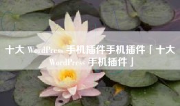 十大 WordPress 手机插件手机插件「十大 WordPress 手机插件」