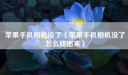 苹果手机相机没了（苹果手机相机没了怎么找出来）