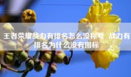 王者荣耀战力有排名怎么没称号  战力有排名为什么没有图标