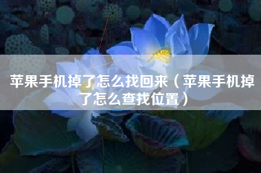 苹果手机掉了怎么找回来（苹果手机掉了怎么查找位置）