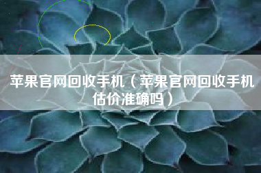 苹果官网回收手机（苹果官网回收手机估价准确吗）