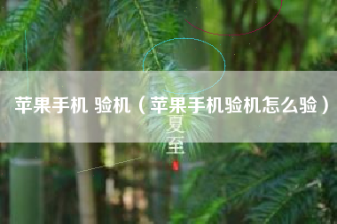 苹果手机 验机（苹果手机验机怎么验）