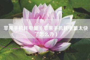 苹果手机耗电量（苹果手机耗电量太快了怎么办）